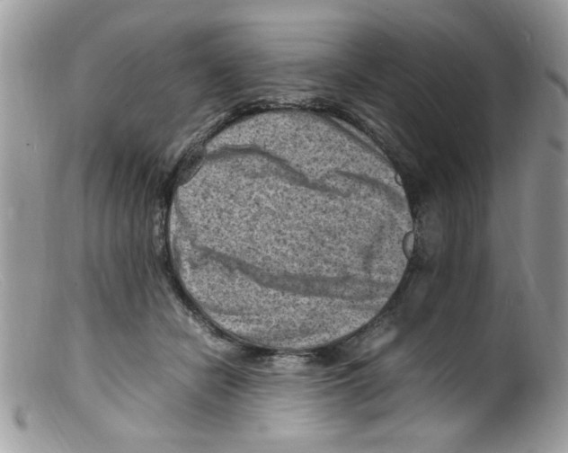 X0000098160462200805151233