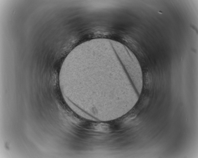 X0000098160463200805151233