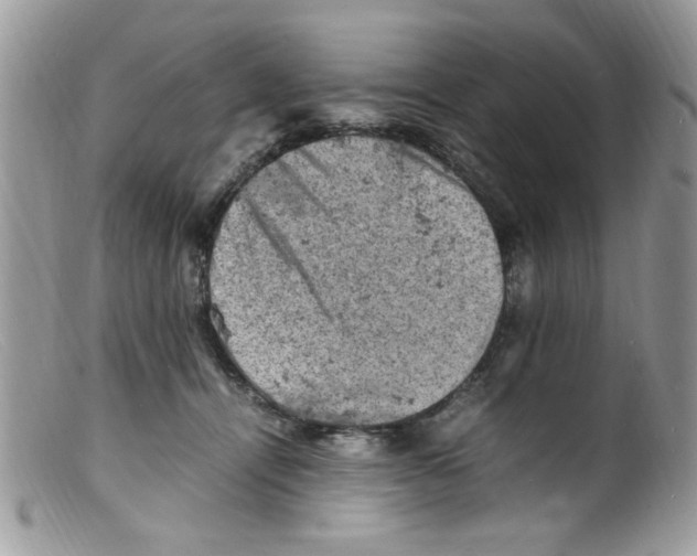 X0000098160464200805151233