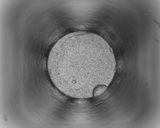 X0000098160466200805151233