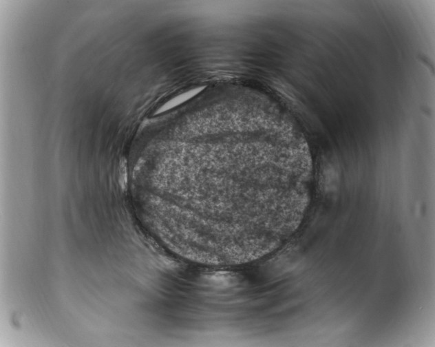 X0000098160467200805151233