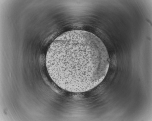 X0000098160468200805151233