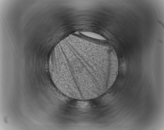 X0000098160469200805151233