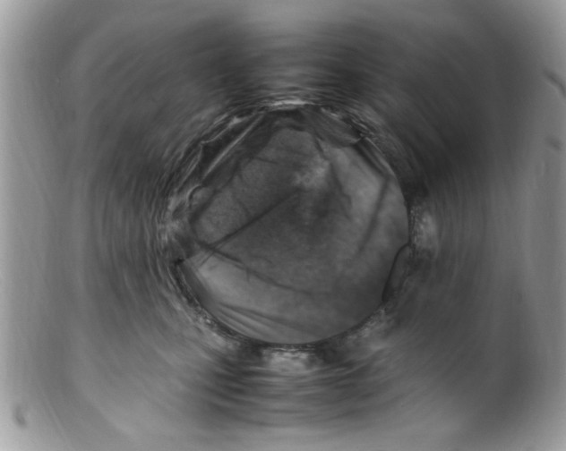 X0000098160471200805151233