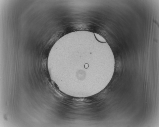 X0000098160473200805151233