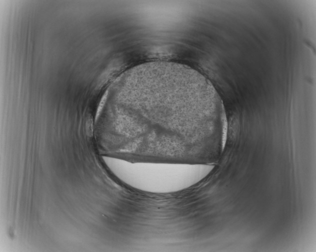 X0000098160474200805151233