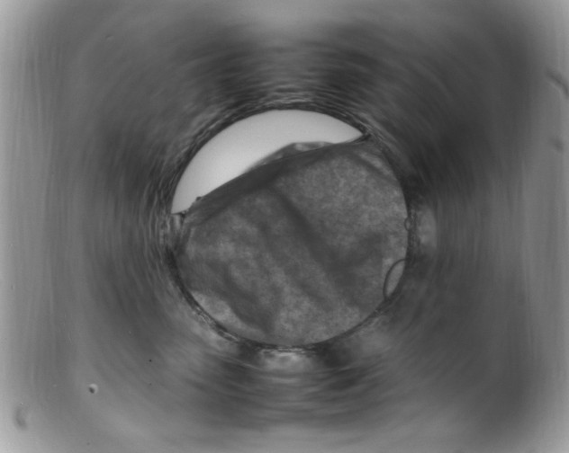 X0000098160475200805151233