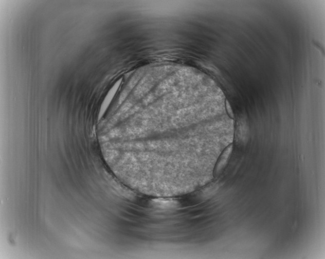 X0000098160477200805151233