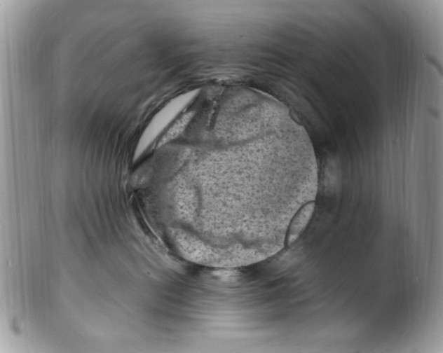 X0000098160478200805151233