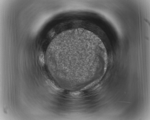 X0000098160479200805151233