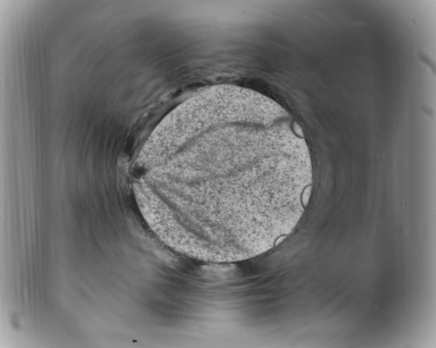 X0000098160480200805151233