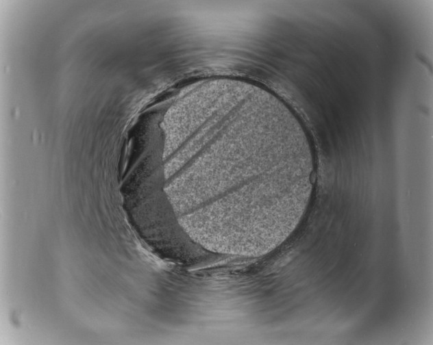 X0000098160481200805151233