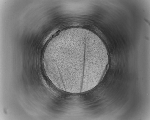 X0000098160482200805151233