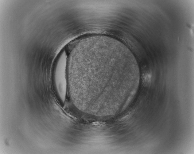 X0000098160484200805151233