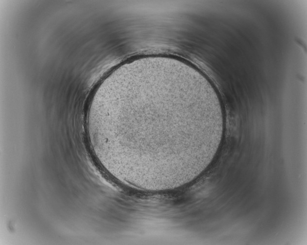 X0000098160485200805151233