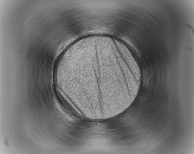 X0000098160486200805151233