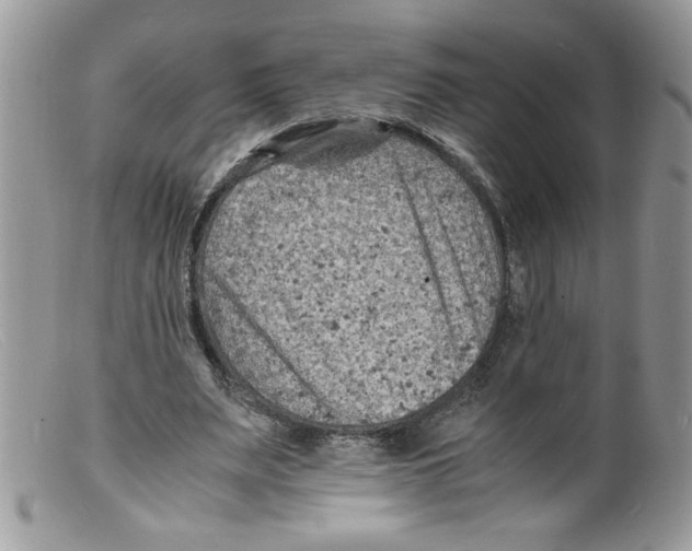 X0000098160487200805151233