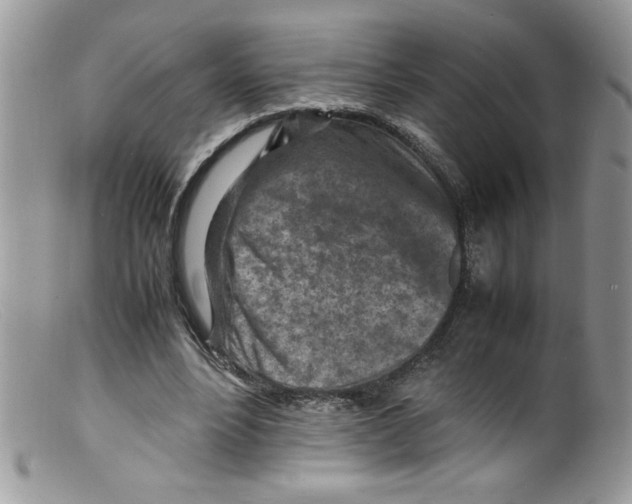 X0000098160488200805151233