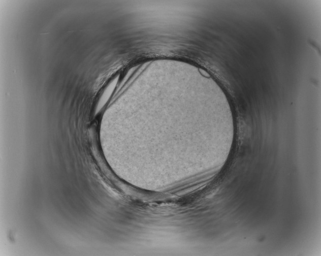 X0000098160489200805151233