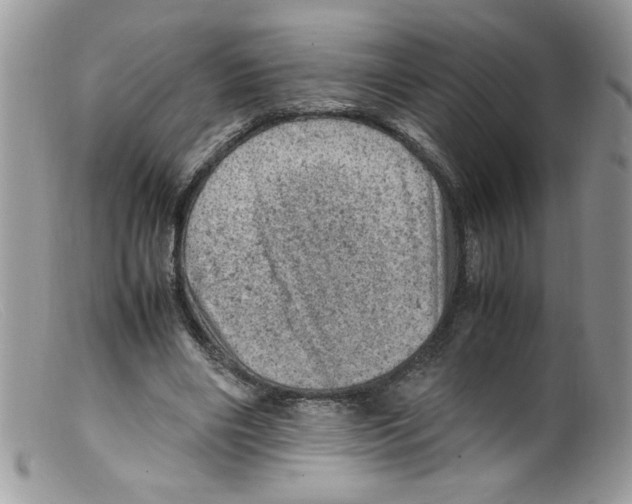 X0000098160490200805151233