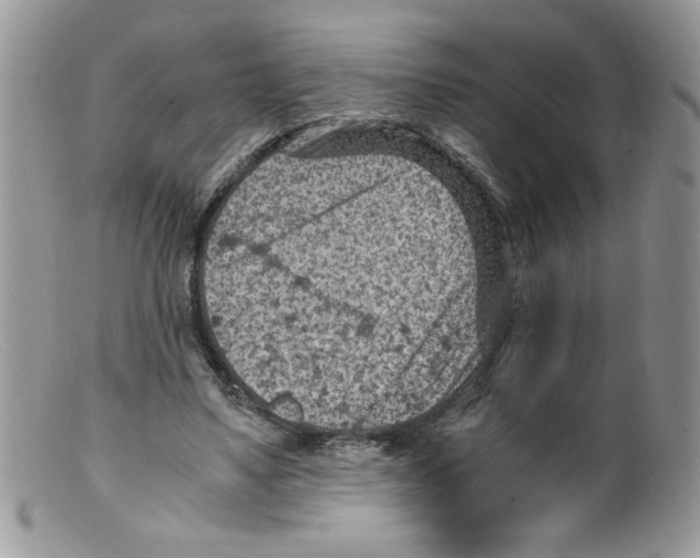 X0000098160491200805151232