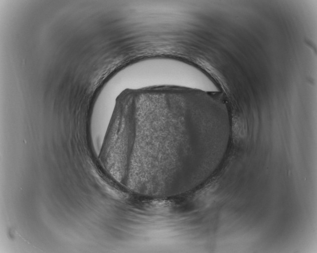 X0000098160493200805151232