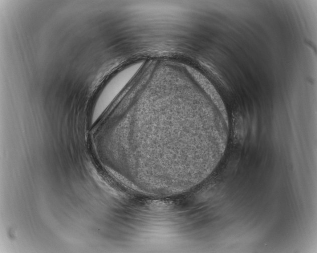 X0000098160494200805151232