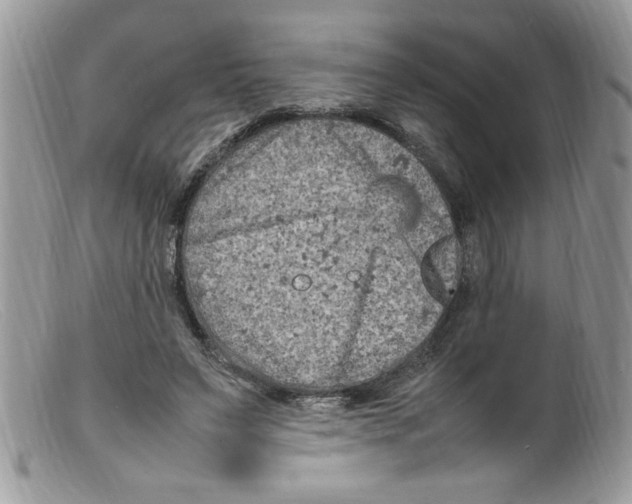 X0000098160495200805151232