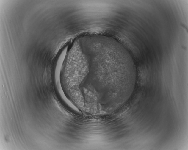 X0000098160496200805151232