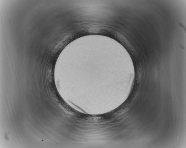 X0000098160497200805151232