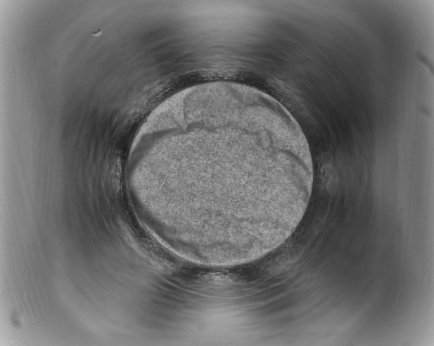 X0000098160498200805151232