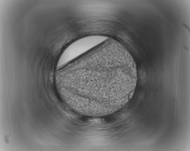 X0000098160499200805151232