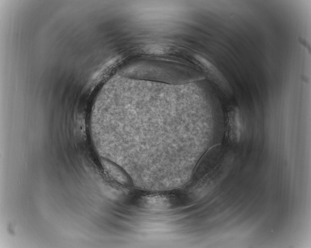 X0000098160500200805151232