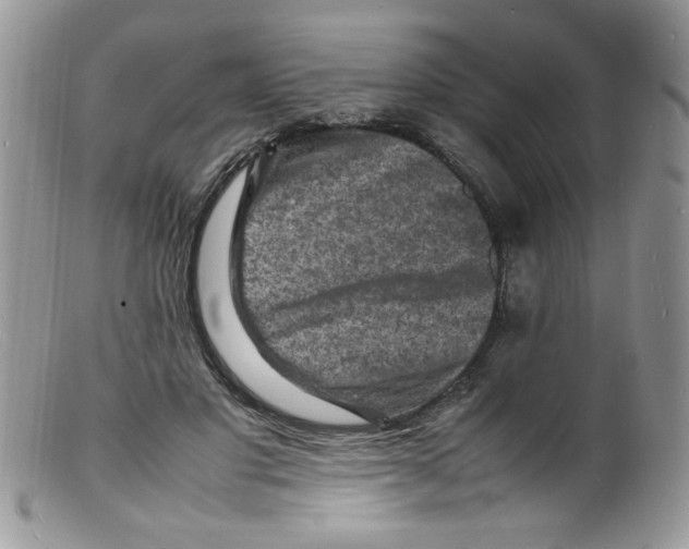 X0000098160501200805151232