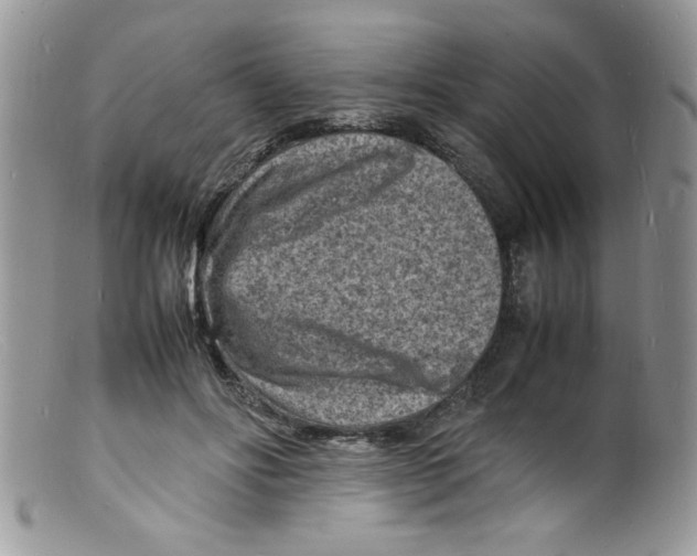 X0000098160502200805151232