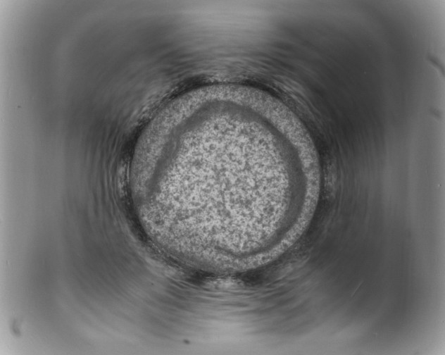 X0000098160503200805151232