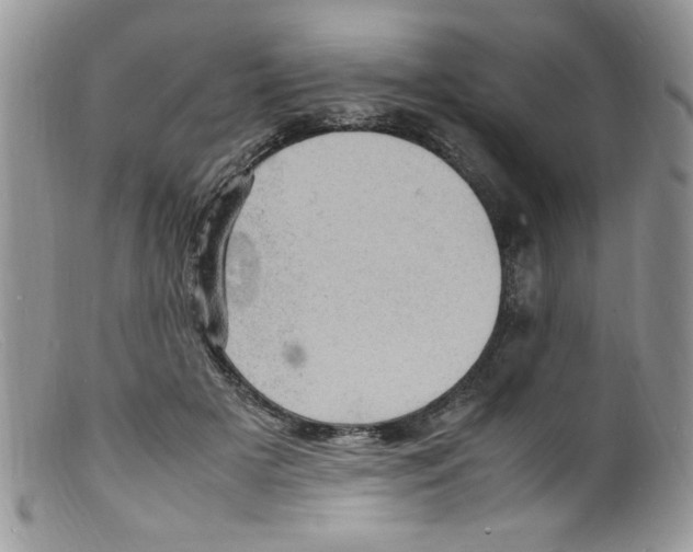 X0000098160505200805151232