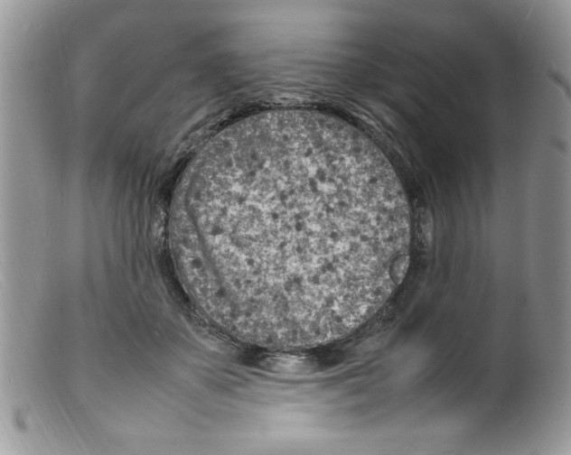 X0000098160507200805151232