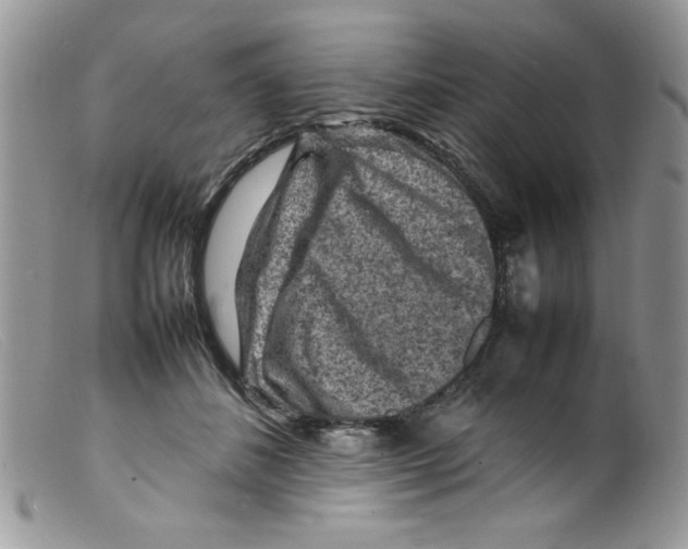 X0000098160508200805151232