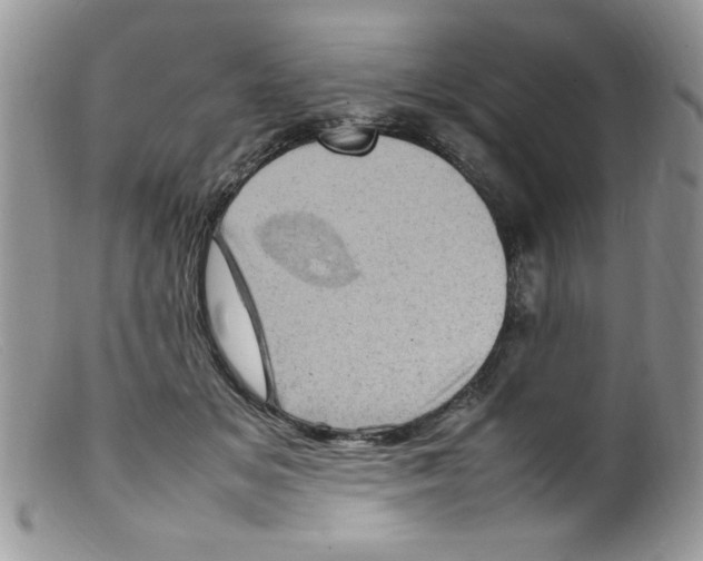 X0000098160509200805151232