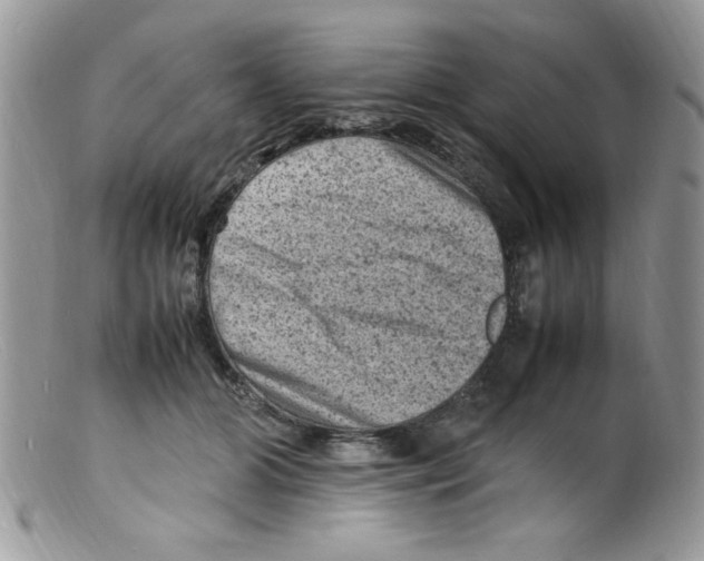 X0000098160510200805151232