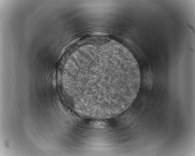 X0000098160512200805151232