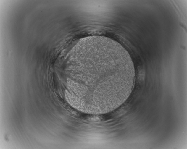 X0000098160513200805151232