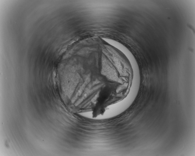 X0000098160514200805151232