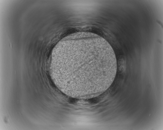 X0000098160515200805151232