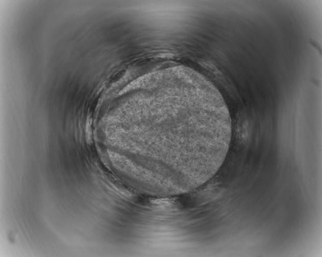 X0000098160516200805151232