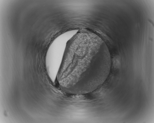 X0000098160517200805151232