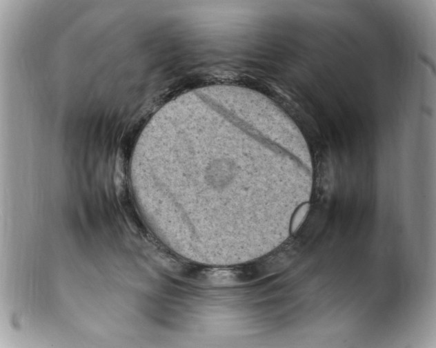 X0000098160518200805151232