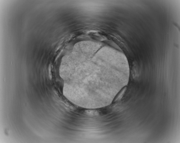 X0000098160520200805151232