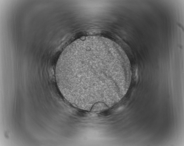 X0000098160523200805151232